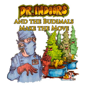 Dr. Indoors and the Budimals Make the Move